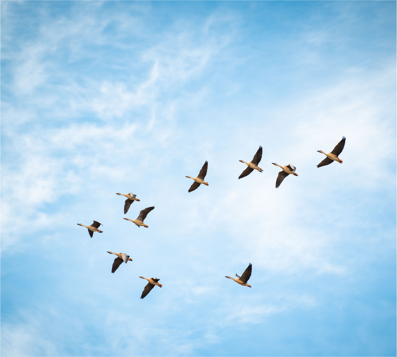 Blue sky and paper plane